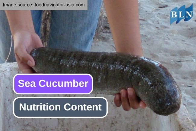 These Are Some Nutrition You Get from Sea Cucumber